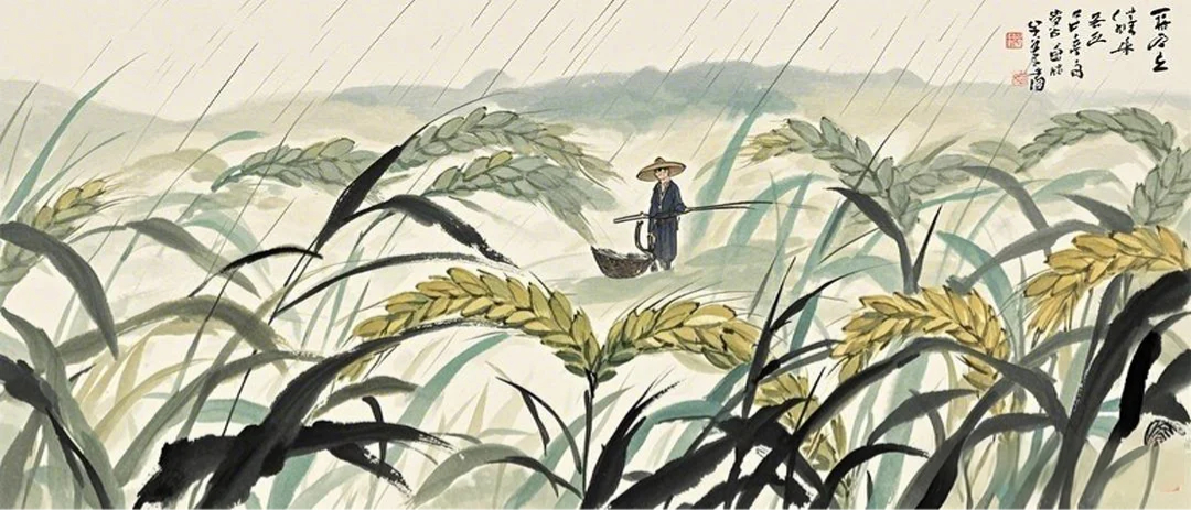 Mang zhong